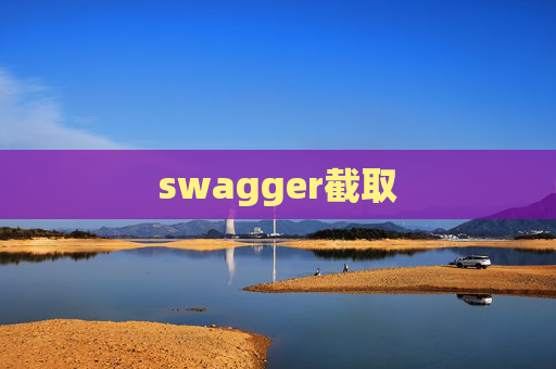 swagger截取